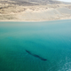 Image for article titled Aerial photos reveal centuries-old shipwrecks at the bottom of Lake Michigan